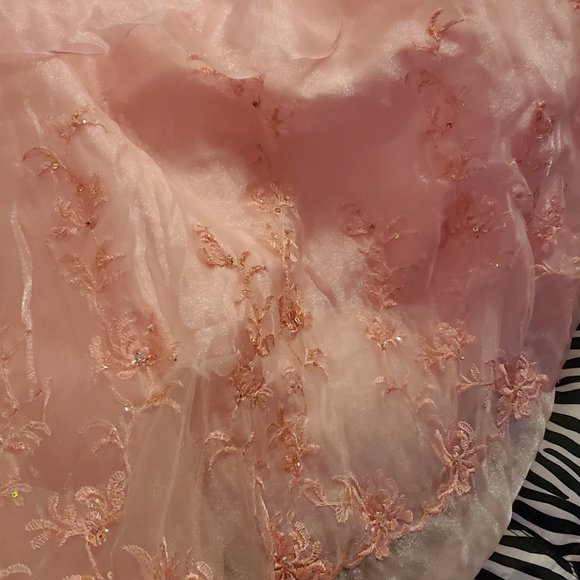 PC Mary's Prom Dress - Picture 3 of 5